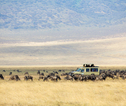 Rondreis Kenia en Tanzania