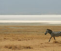 Rondreis Kenia en Tanzania