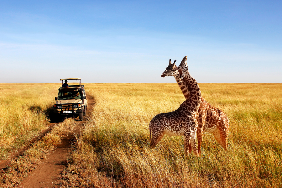 Rondreis Kenia en Tanzania