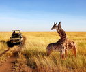 Rondreis Kenia en Tanzania