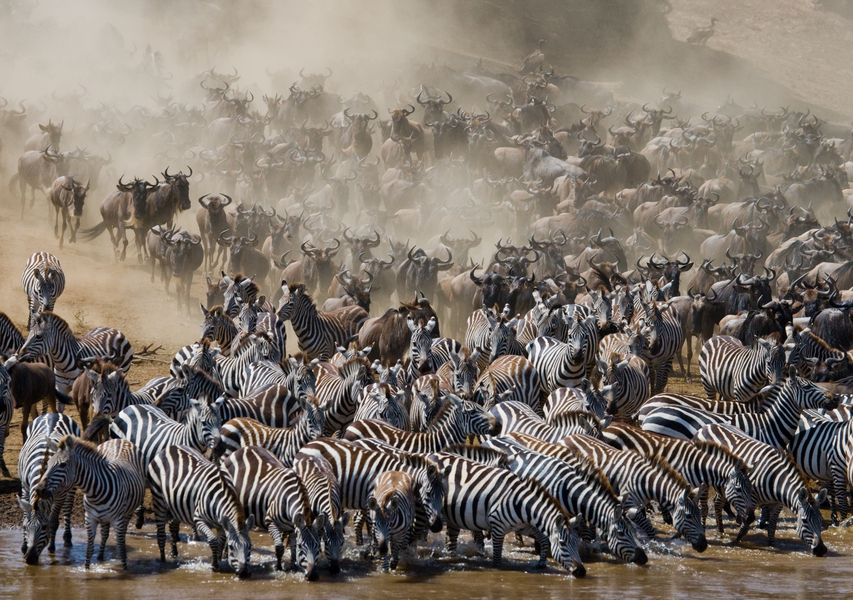 Rondreis Kenia en Tanzania