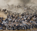 Rondreis Kenia en Tanzania