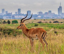 Rondreis Kenia en Tanzania