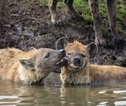 Rondreis Kenia en Tanzania