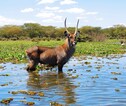Rondreis Kenia en Tanzania