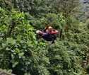 Canopytour Monteverde