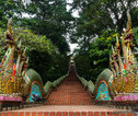 Slangentrap Chiang Mai