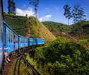 Trein