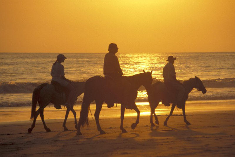 Paardrijden Costa Rica