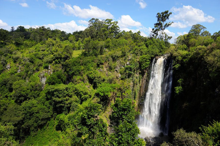 Thomson_Falls