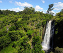 Thomson_Falls