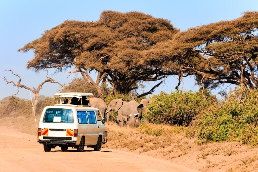 Amboseli_gamedrive
