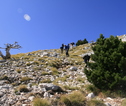 Llogara NP