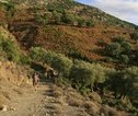 Wandelreis Albanese Riviera