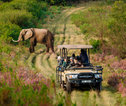 jeepsafari