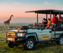 Giraffe safari