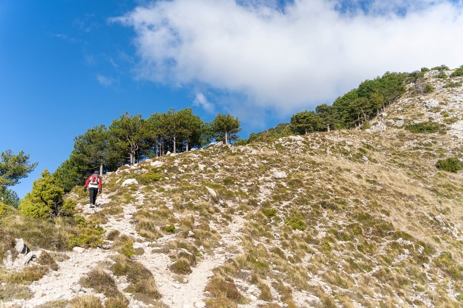 Llogara NP
