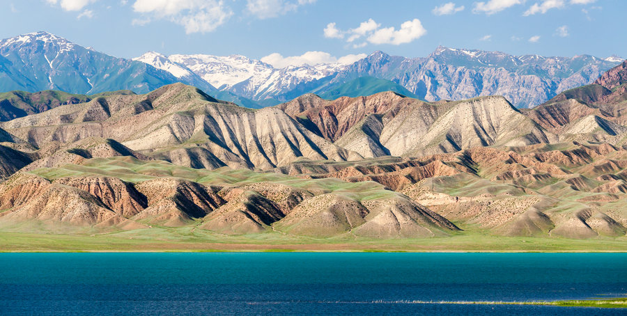 Toktogul