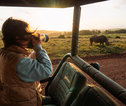 Safari foto maken