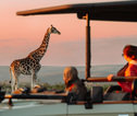 Giraffe vanuit jeep