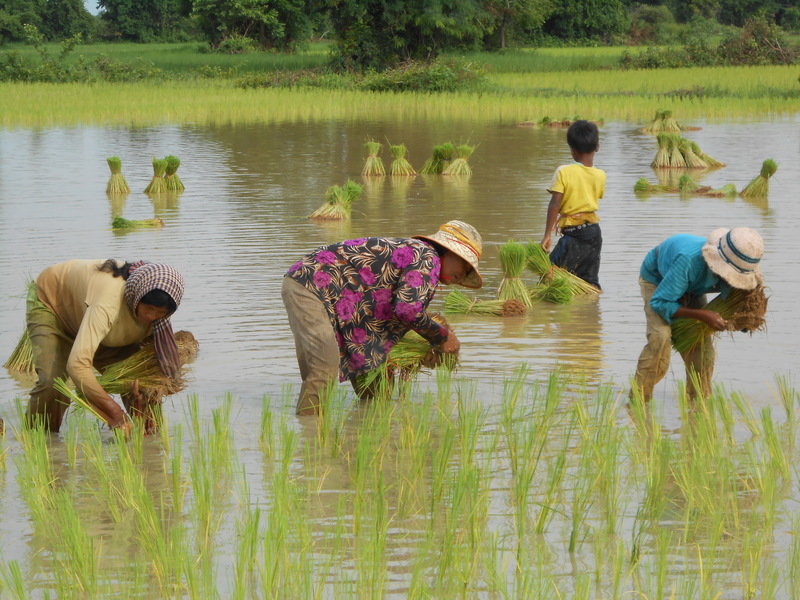Fietsreis Vietnam, Cambodja & Thailand