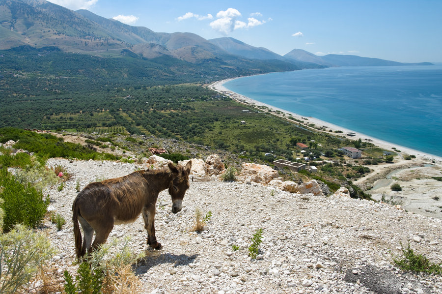 familiereis Albanië Qeparo