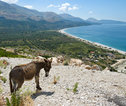 familiereis Albanië Qeparo