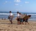 familiereis Indonesië Bali surfen