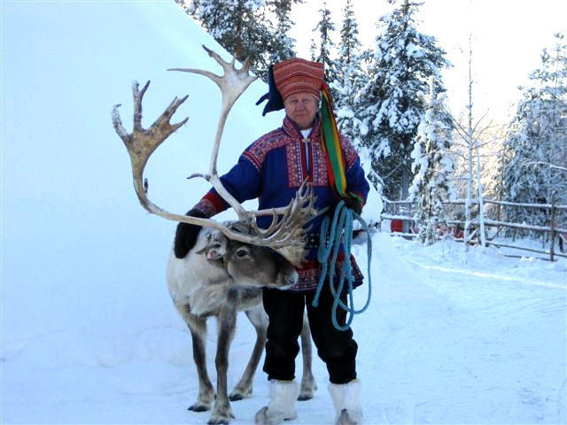 Rondreis Lapland rendier