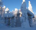 Rondreis Lapland sneeuw