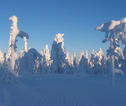 Rondreis Lapland sneeuw