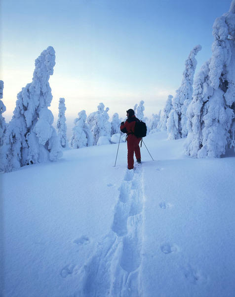 Rondreis Lapland sneeuw wandeling
