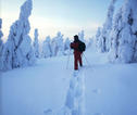 Rondreis Lapland sneeuw wandeling