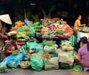 Groepsrondreis Vietnam