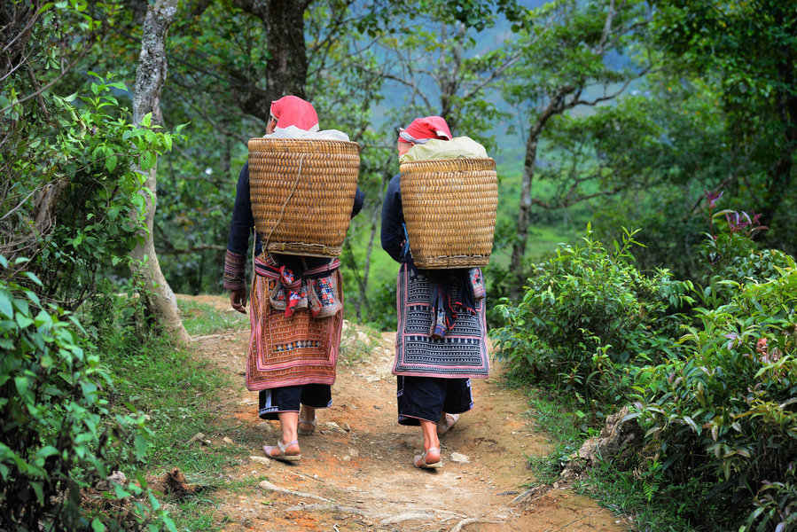 Groepsrondreis Vietnam