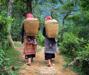 Groepsrondreis Vietnam