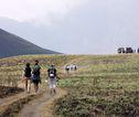 Wandeling bij Bromo