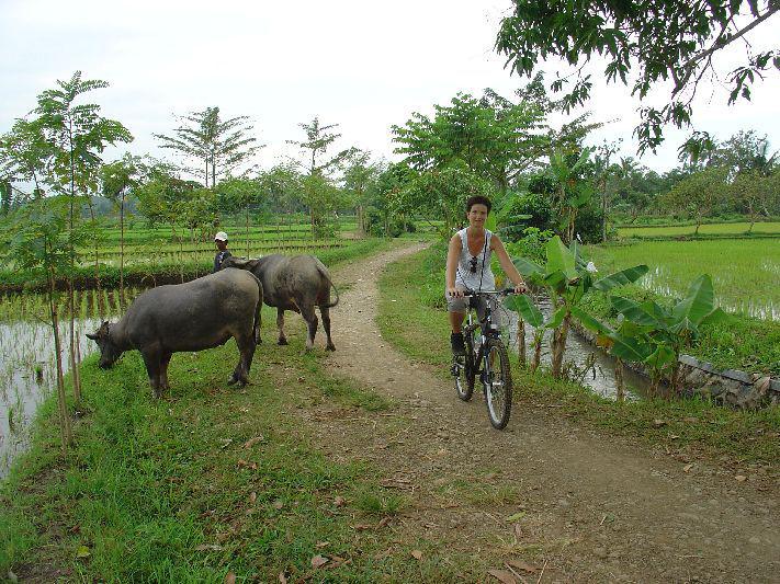 Fietstocht Lombok Indonesië
