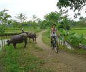 Fietstocht Lombok Indonesië