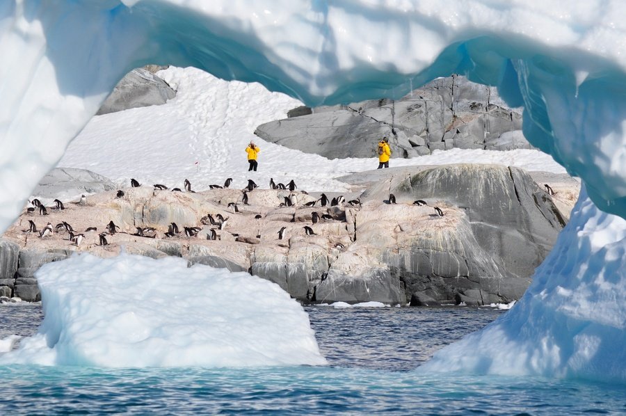 Poolreis, pinguins, Poolcirkel