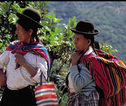 Locals Bolivia