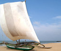 Rondreis Sri lanka