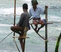 Rondreis Sri lanka