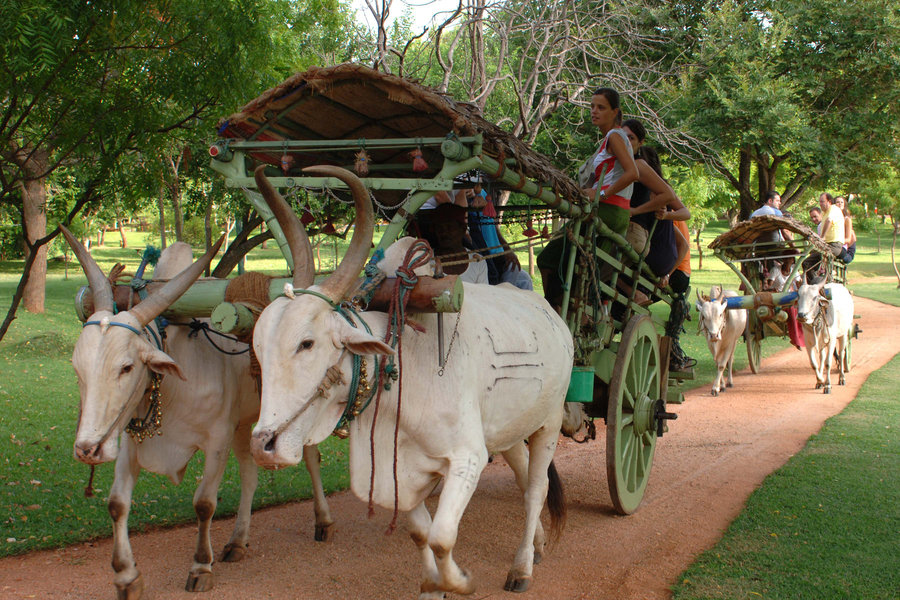 Rondreis Sri lanka