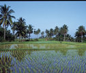 Rondreis Sri lanka