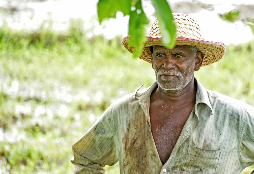 Rondreis Sri lanka