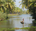 periyar national park