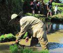 Trekking Toraja