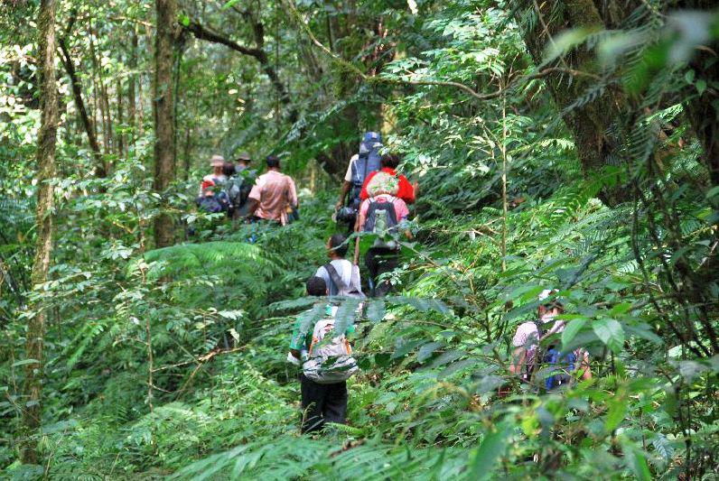 Indonesië trekking