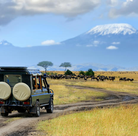 Familiereis Kenia en Tanzania Masai Mara
